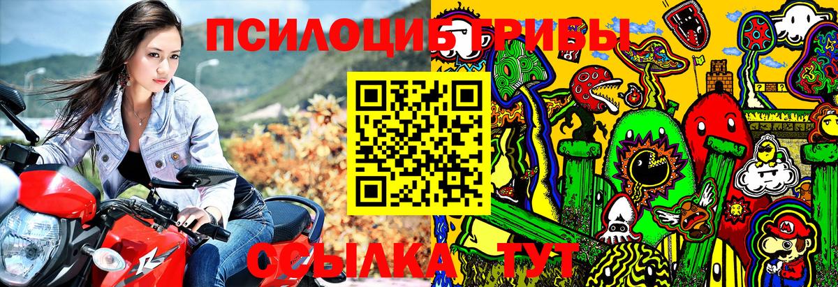 Ржев  Псилоцибиновые грибы ЛСД  где найти наркотики  Псилоцибиновые грибы Cubensis  Вход с VPN 